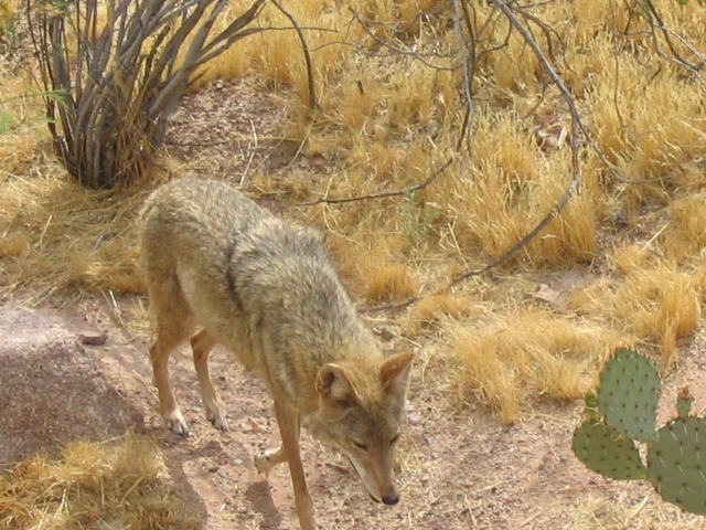 618x457 pixels (233K)